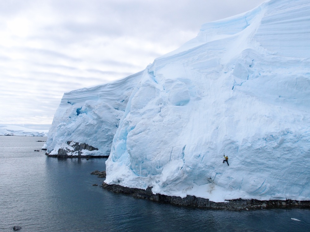 Blibiny na seraku Antarktida